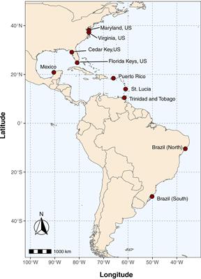 Rapid Genetic Identification of the Blue Crab Callinectes sapidus and Other Callinectes spp. Using Restriction Enzyme Digestion and High Resolution Melt (HRM) Assays